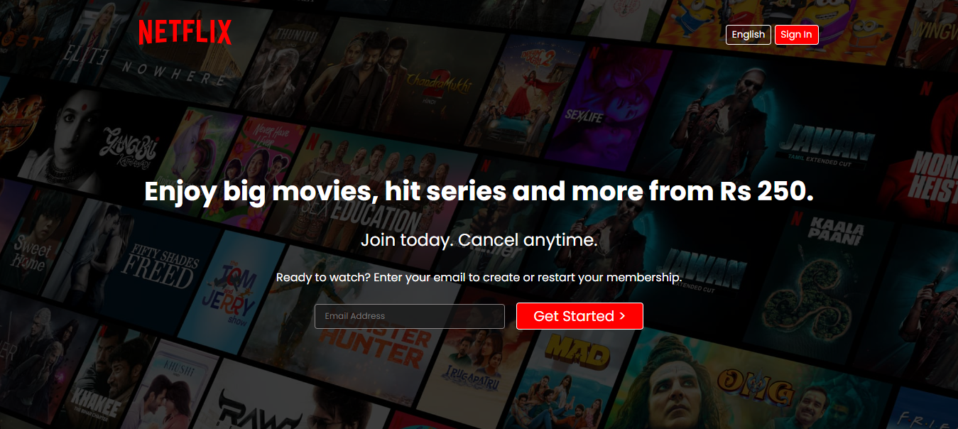 Netflix Website